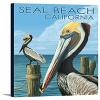 Seal Beach, Калифорния - кафяв пеликан - плакат за фенер