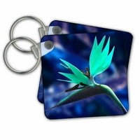 3Drose Bird of Paradise, Flower, Blue and Turquoise - Key Chains, 2. By, набор от 2